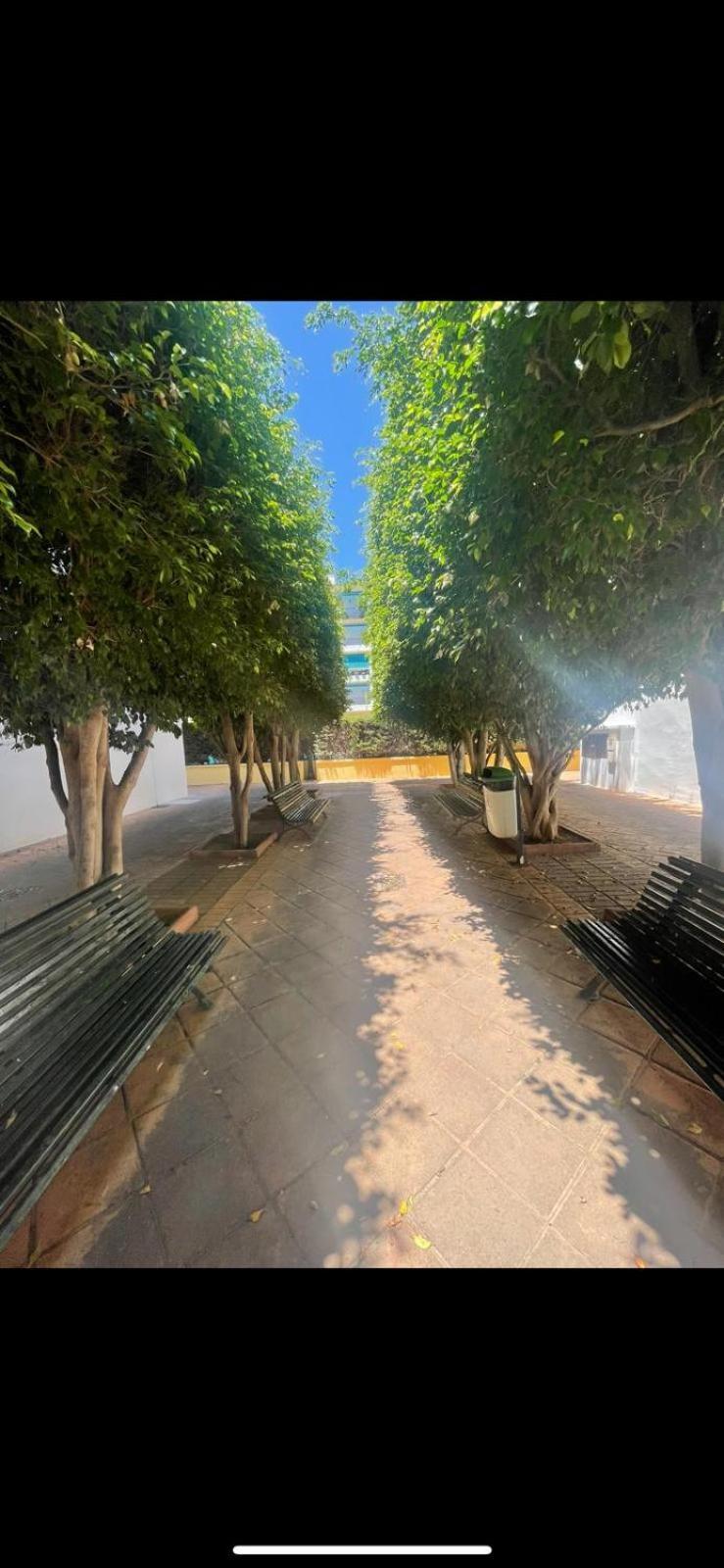 Apartamento Jardines Del Rocio Torre Del Mar Esterno foto