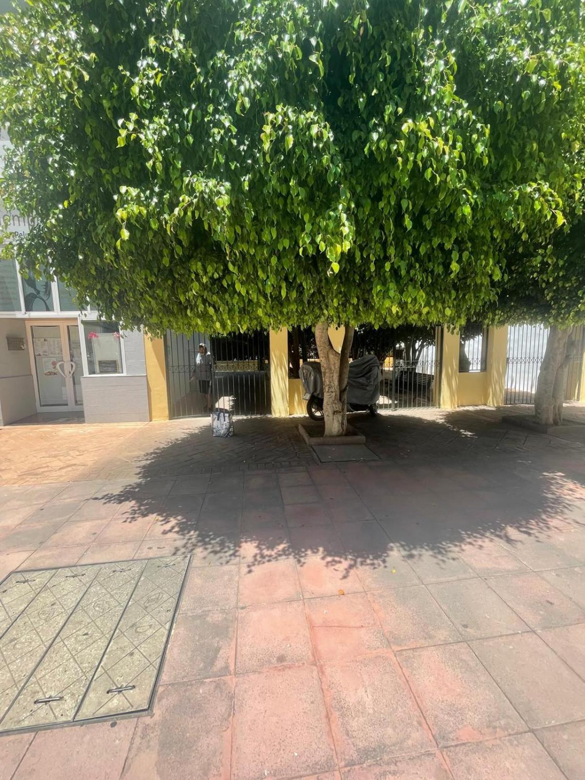 Apartamento Jardines Del Rocio Torre Del Mar Esterno foto
